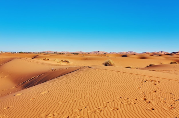 Песчаные дюны в пустыне Сахара Марокко