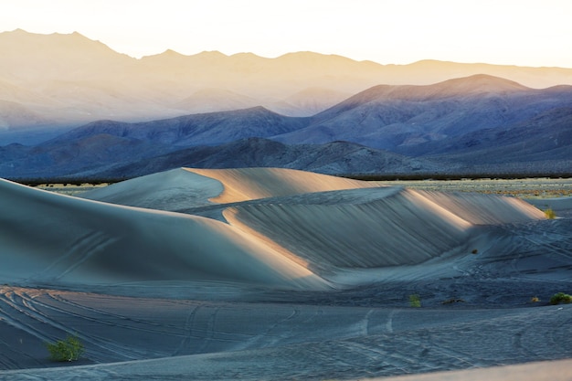 Sand dunes in the Sahara desert