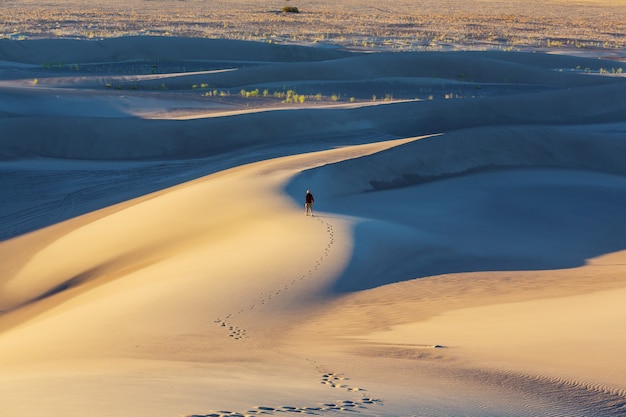 Photo sand dunes in the sahara desert