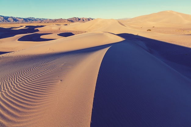 Sand dunes in the Sahara desert