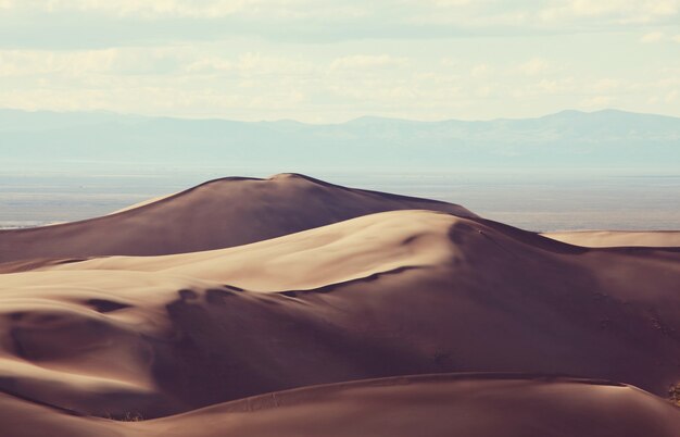 Sand dunes in the Sahara desert