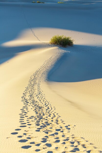 Foto dune di sabbia nel deserto del sahara