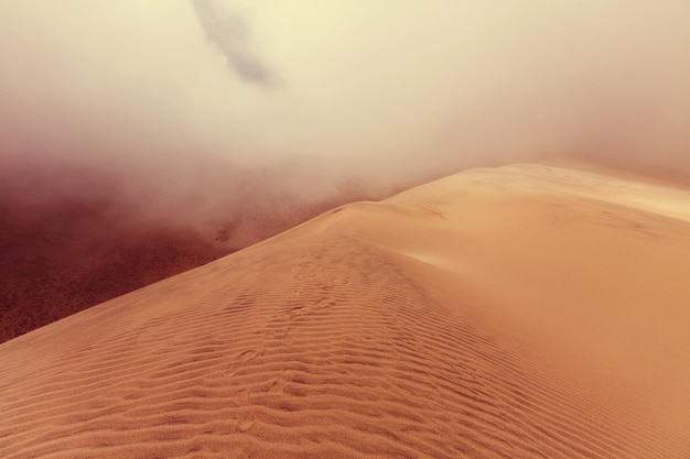 Sand dunes in the Sahara desert