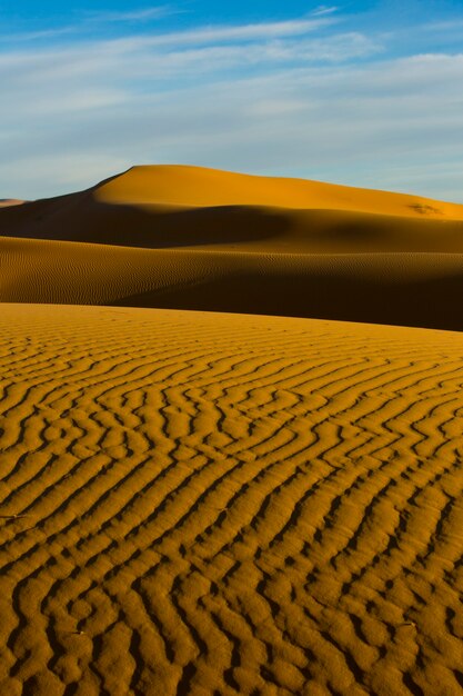 Sand dunes in Sahara desert