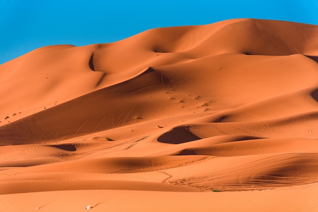 Sand dunes in the Sahara Desert