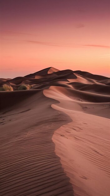 sand dunes of the sahara desert