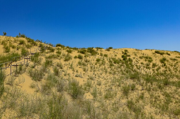 Sand dunes of the Sarykum dune A natural monument Dagestan Russia