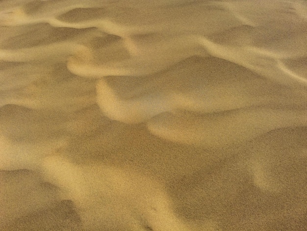 Sand dunes of the Sarykum dune A natural monument Dagestan Russia