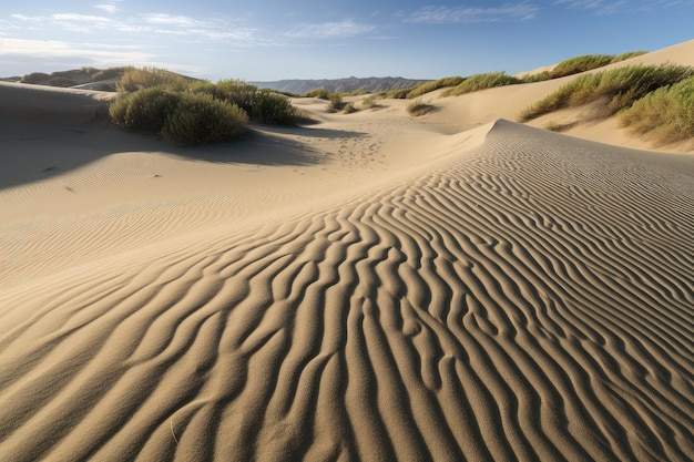 Sand dunes in the shape of waves with rolling sand and repeating patterns