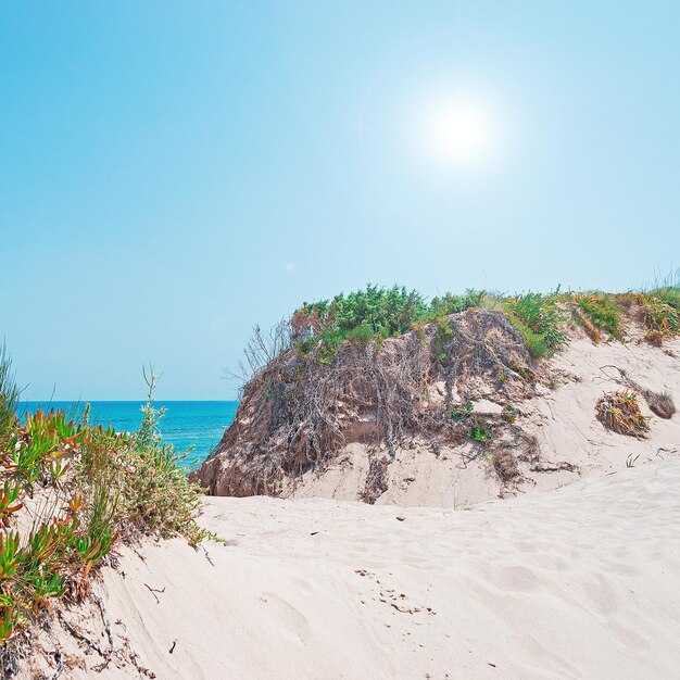 Sand dunes under a shining sun