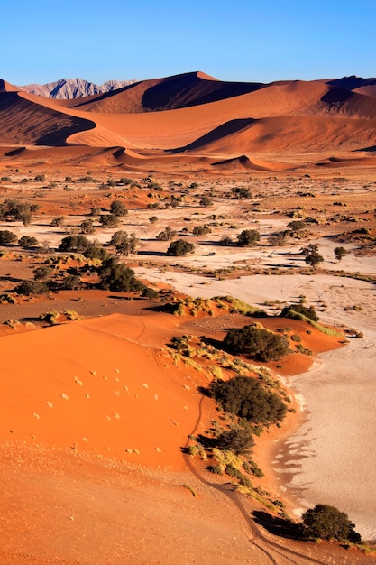 Sand Dunes Sossusvlie Namibia