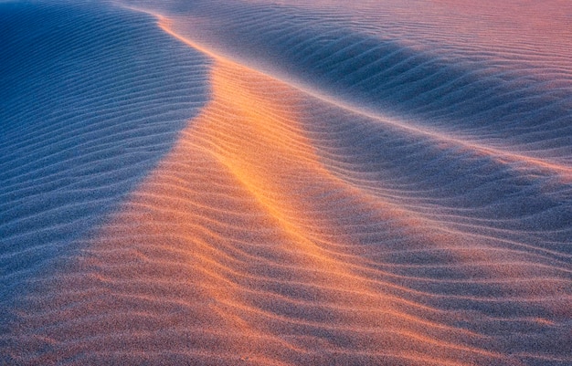 The sand dunes during sunset Summer landscape in the desert Natural abstract background Hot weather Lines on the sand