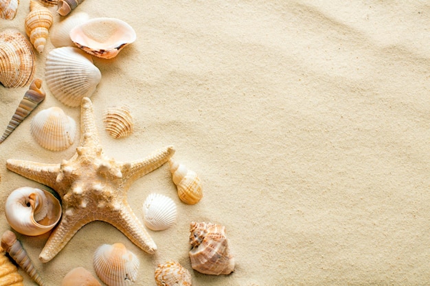 Sand dunes with seashells