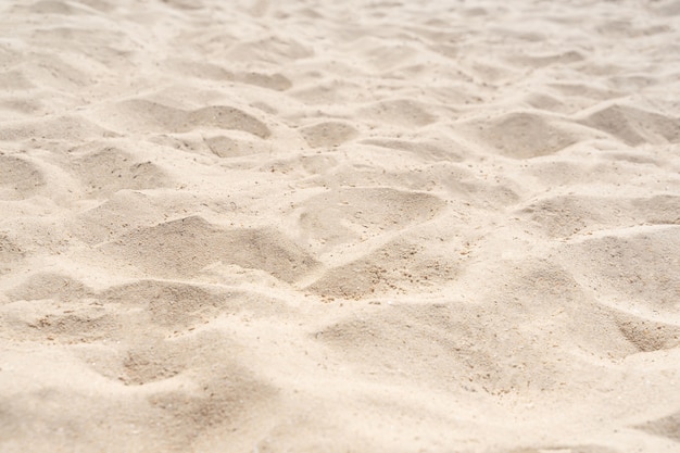 Sand nature texture in summer beach as background. Nature beach in summer.