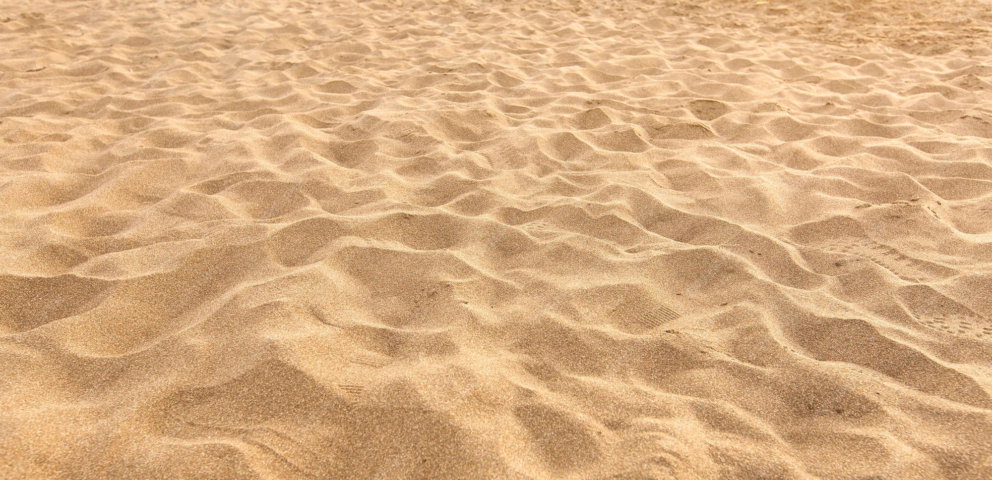 Sand d1 010