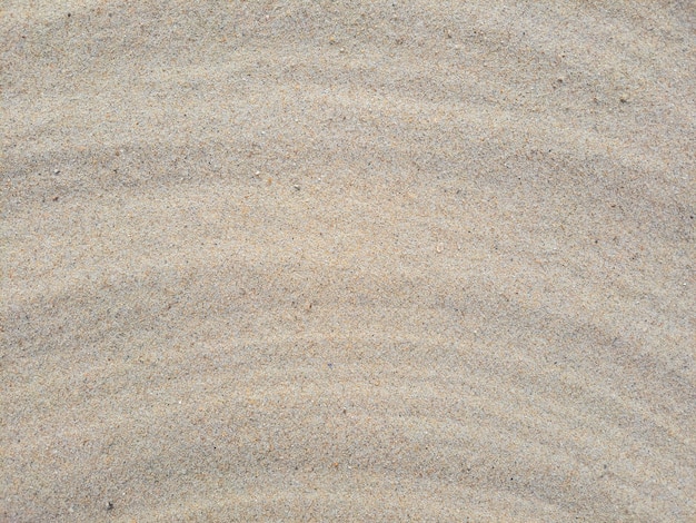 Foto modello di sabbia sulla spiaggia