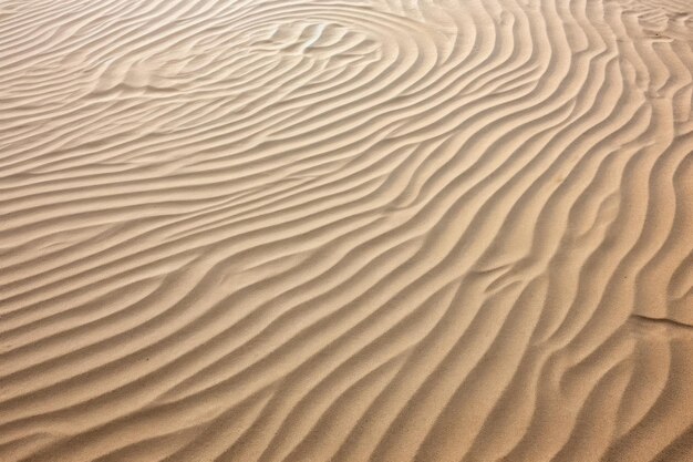 Photo sand patterns on a clean beach making gentle swirls