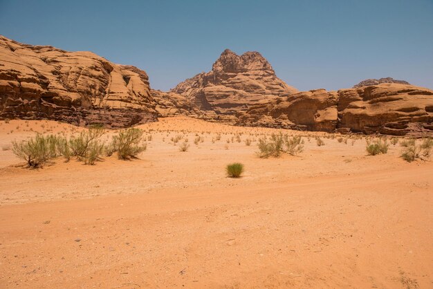 Sand and rocks Wadi Rum desert