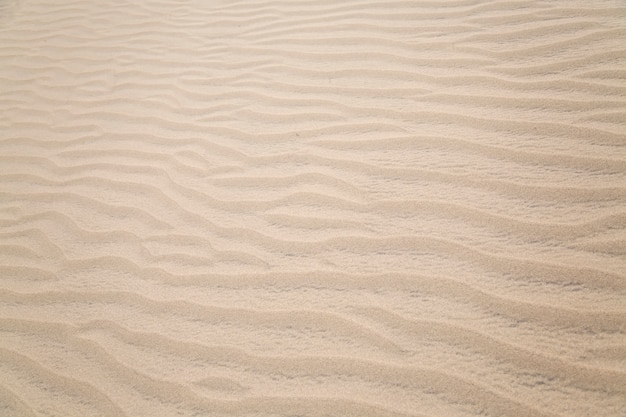 Foto forme di sabbia
