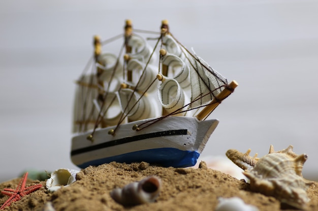 Sand shell and sail in sea