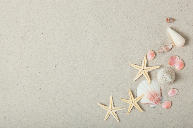 Sand shells and starfish top view with place for text