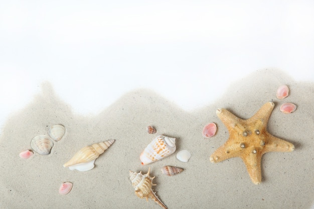 Sand shells and starfish on white top view place for text travel sea