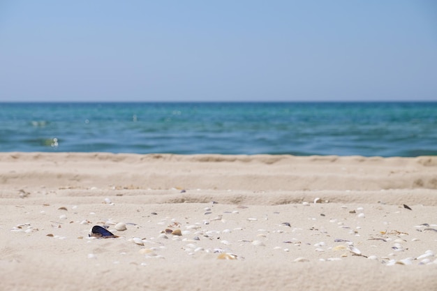 Sand shore on blurred seascape background