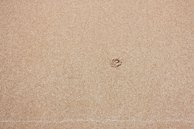 Sand texture background on the beach
