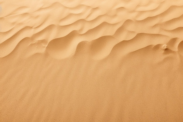 sand texture background and copy space
