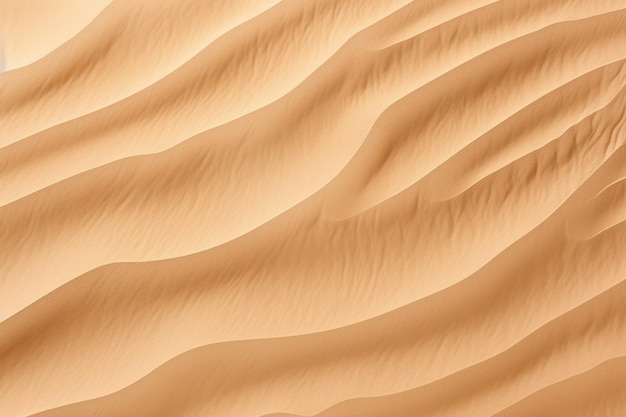 sand texture background and copy space