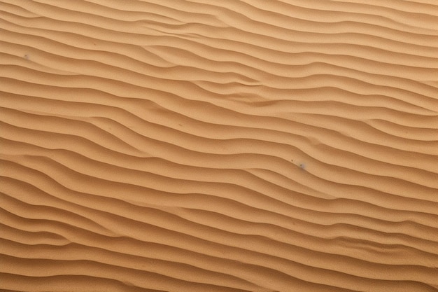 sand texture background and copy space