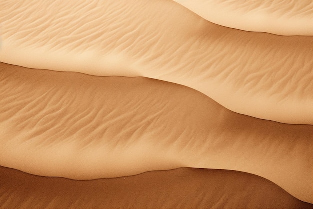 砂の質感の背景とコピースペース