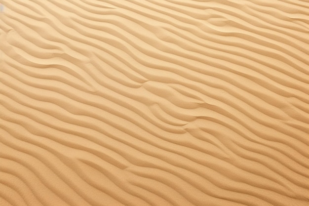 sand texture background and copy space