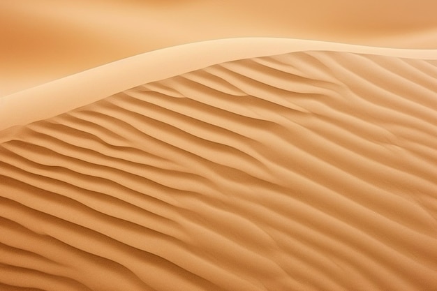 sand texture background and copy space