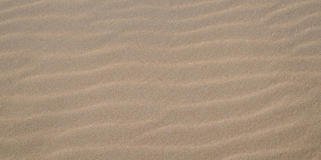 Sand texture background panoramic with sandy wave pattern for web header panorama