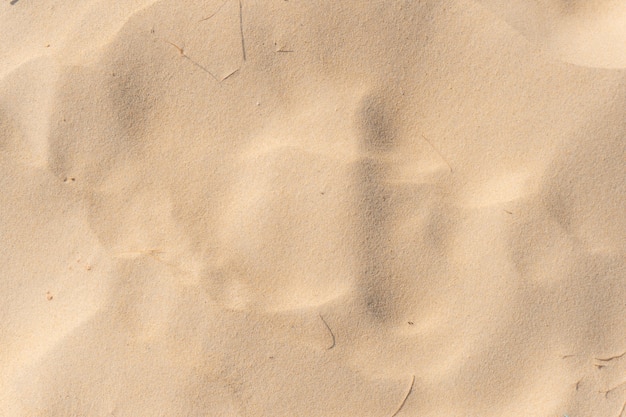 Sand texture background Top view