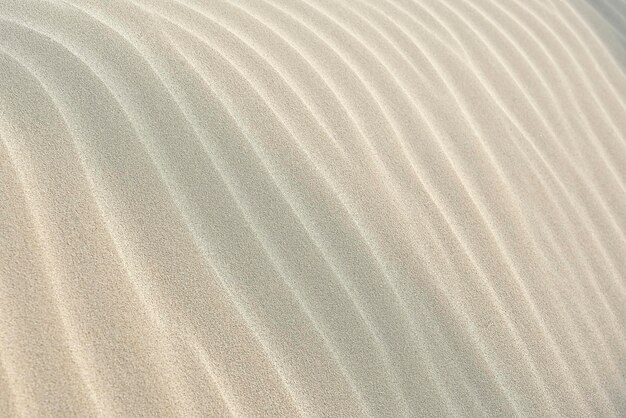 Photo sand texture background wavy line design