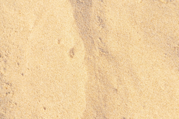 Sand texture on the beach. Brown beach sand for background. Close-up.