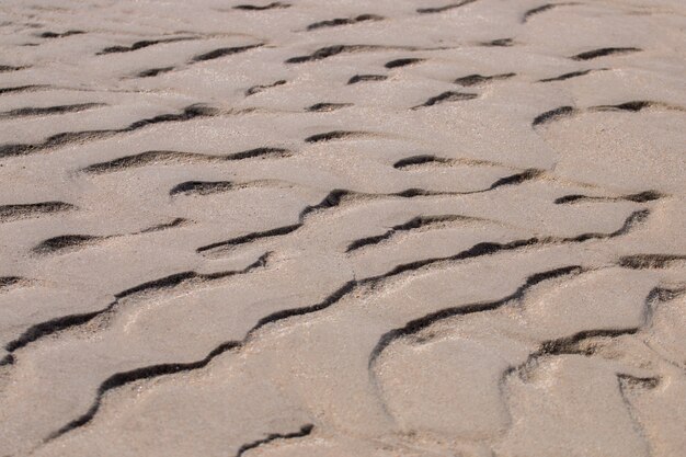 Sand texture on the beach