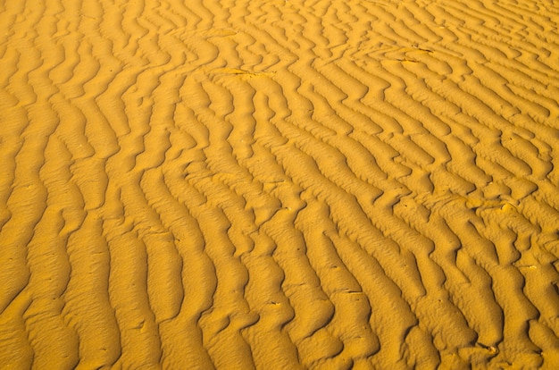 Struttura della sabbia nel deserto dell'oro