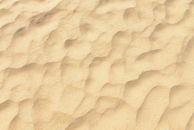 Sand texture Sandy beach for background Top view