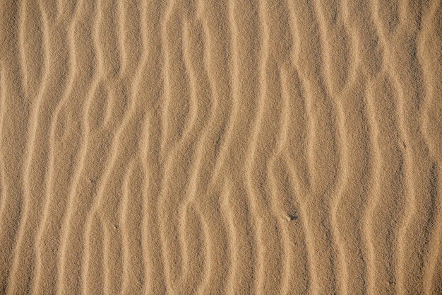 Photo sand texture in tarifa spain
