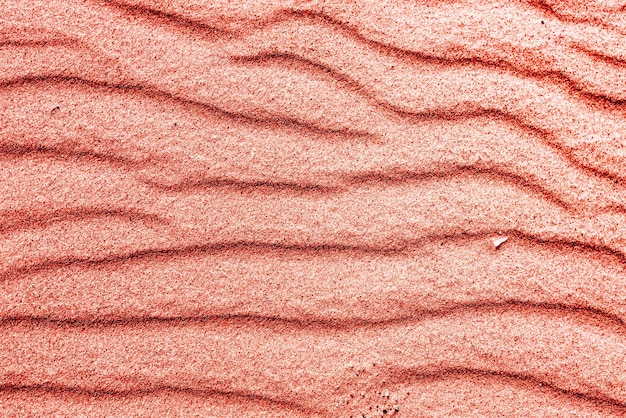 Sand texture in trendy pink coral color Sandy beach background top view Baltic sea coast