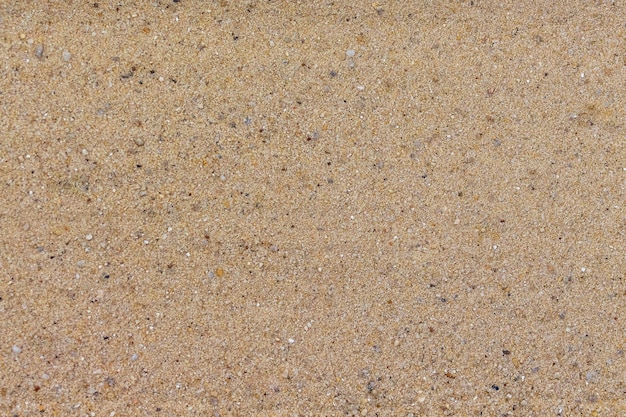 Sand texture with small pebbles. Background for design_