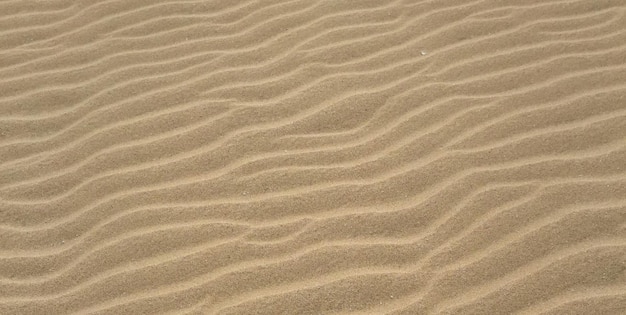 Sand texture with a wave pattern