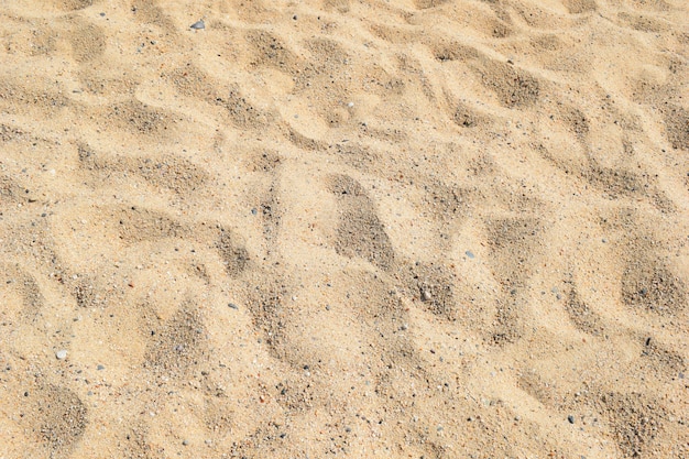 Sand Texture