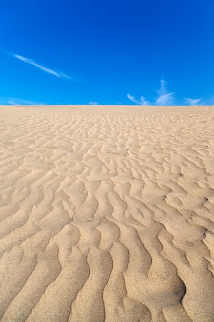 Sand texture