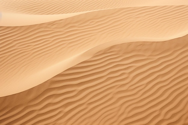 Sand Texture