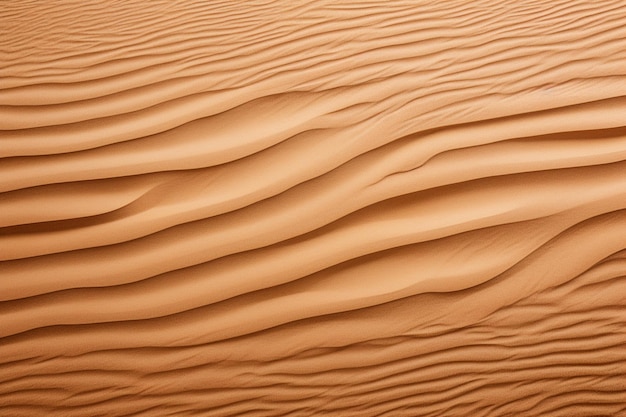 Sand Texture