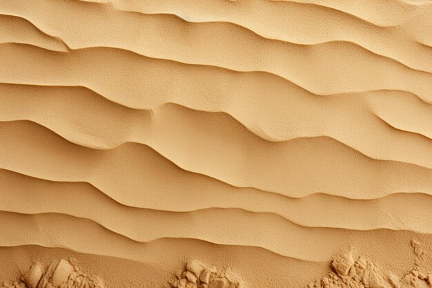 Sand Texture